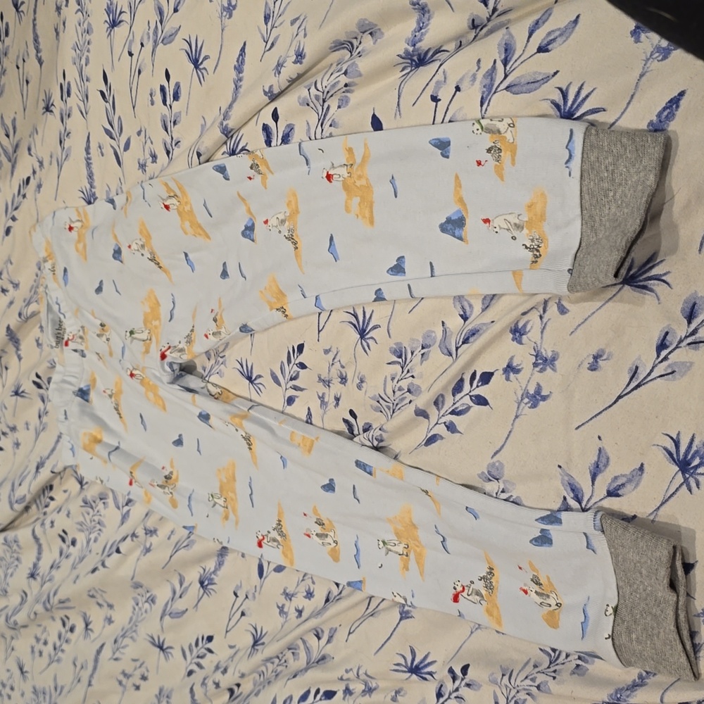 ❤️10/$10 nwot Burts bees pajama pants